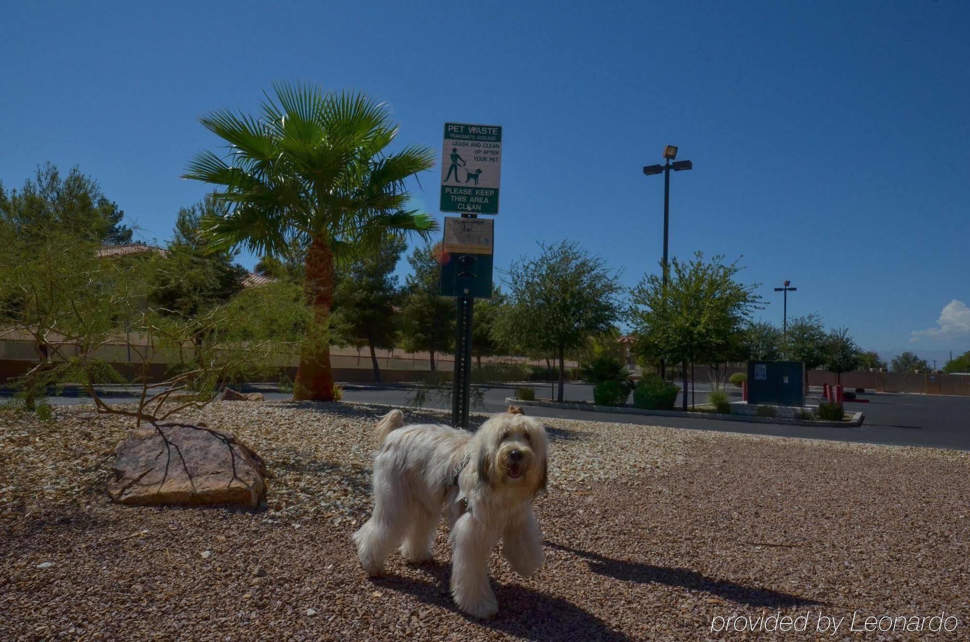 Holiday Inn Express Las Vegas-Nellis By Ihg Exterior foto